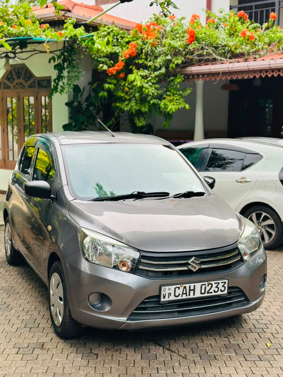 Suzuki Celerio 2015 thumbnail 3