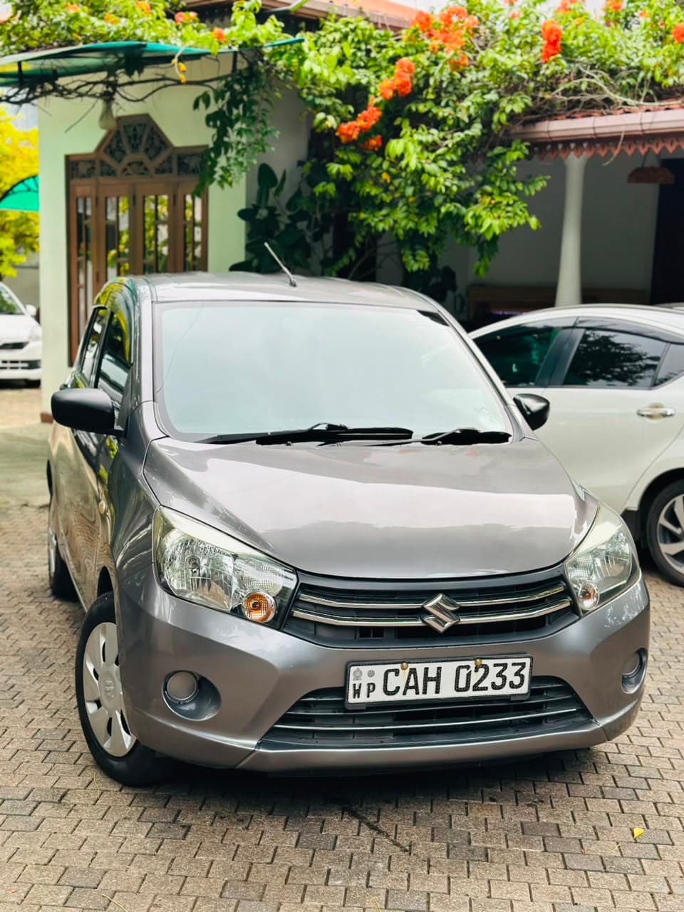 Suzuki Celerio 2015 thumbnail 2