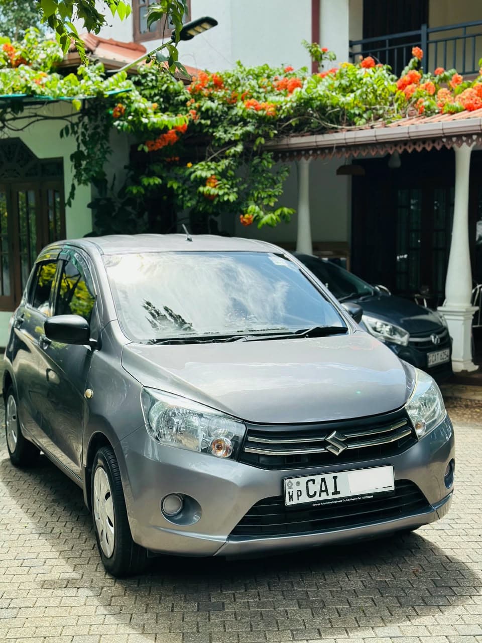 Suzuki Celerio 2015 thumbnail 2