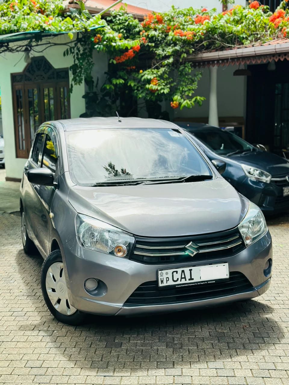 Suzuki Celerio 2015 thumbnail 4